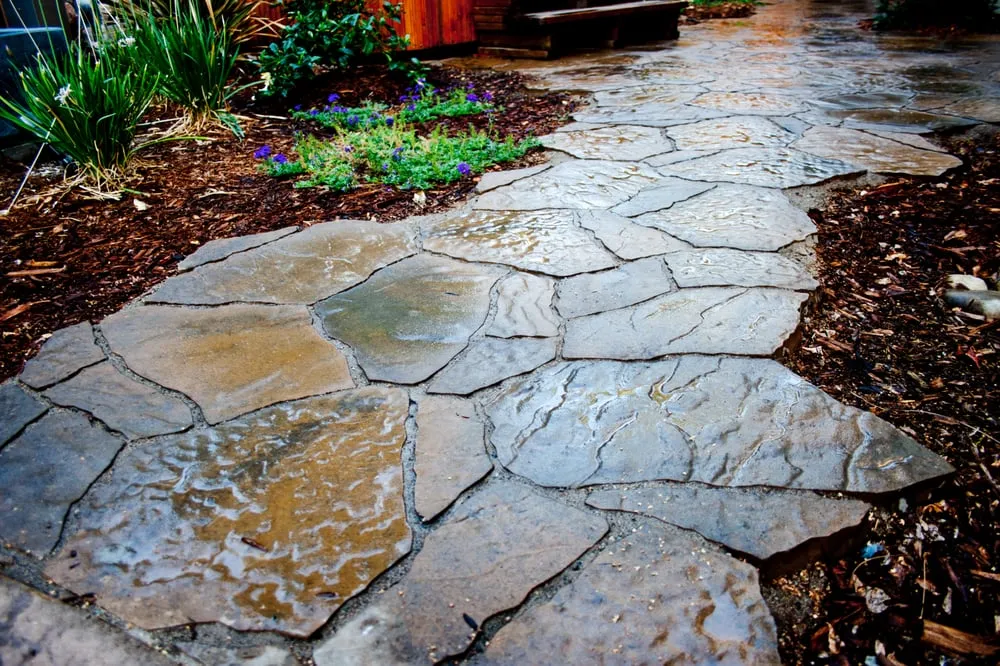 Affordable residential landscaping for year-round maintenance in El Dorado Hills, CA by JPC Landscape Designs