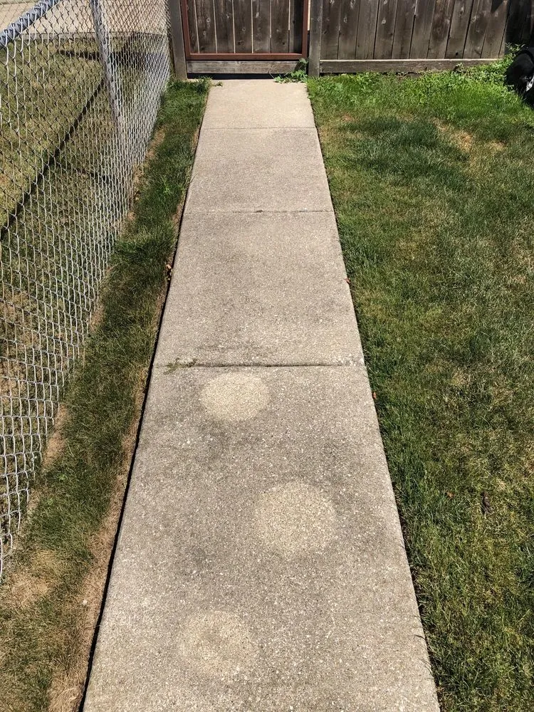 Professional garden landscaping in Chicago, IL by JPC Landscaping