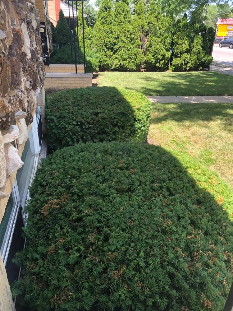 Trusted lawn mowing service experts serving Chicago, IL - JPC Landscaping