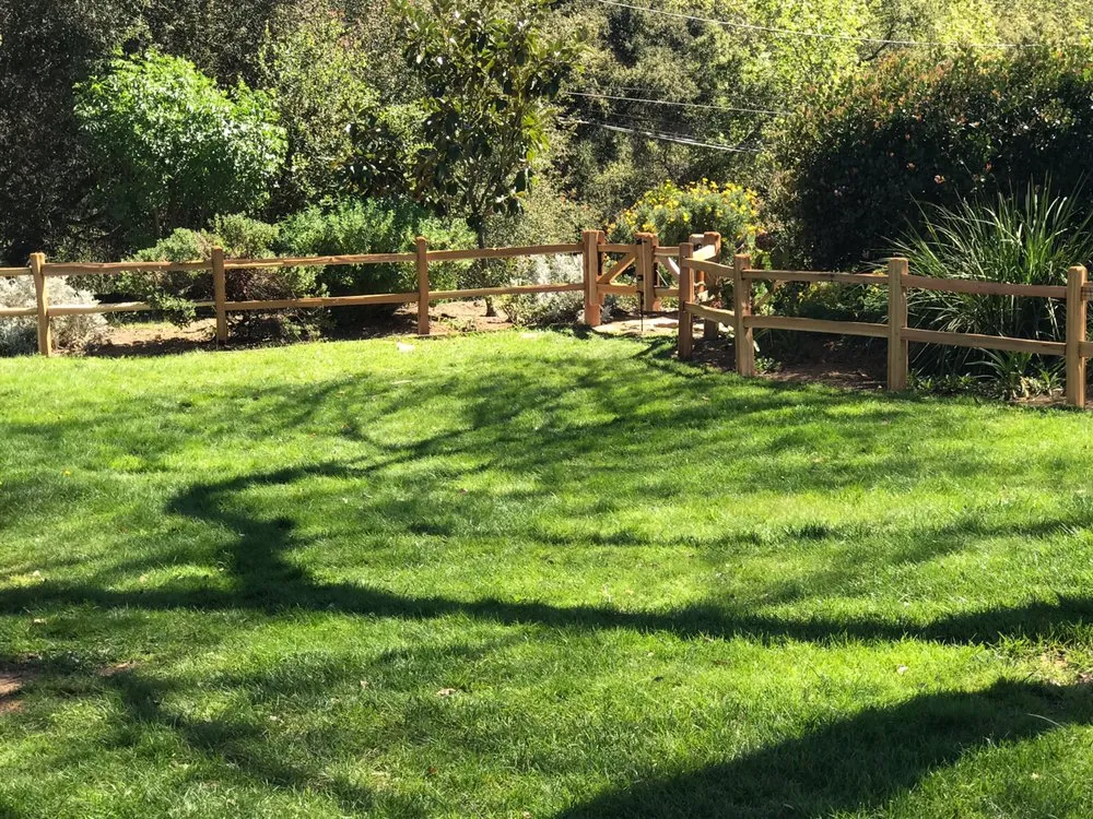 Expert yard cleanup service experts serving Fallbrook, CA - JPC Landscaping