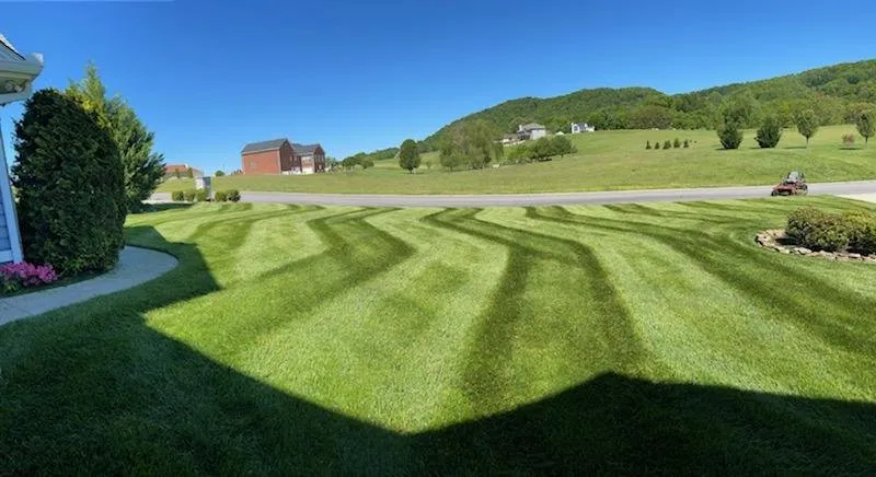 Trusted yard cleanup service for beautiful yards in New Market, TN by JPenn's Lawn Care