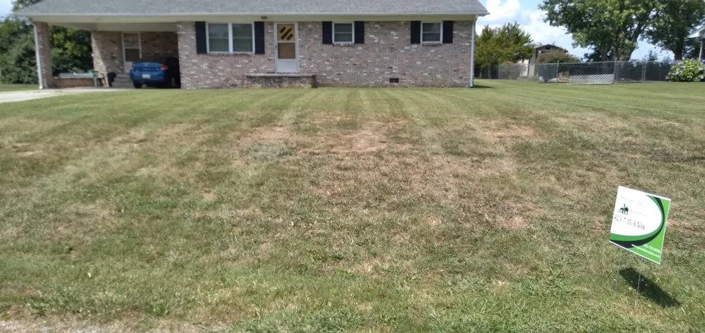 Expert lawn mowing service experts serving New Market, TN - JPenn's Lawn Care