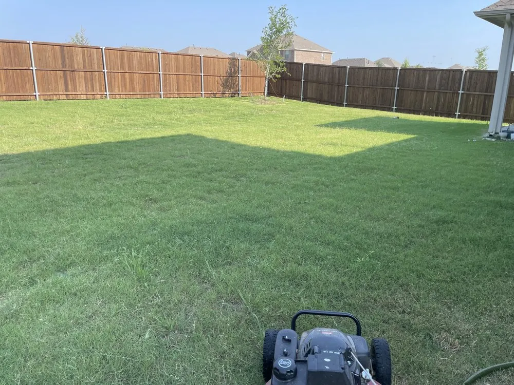 Top-rated landscape design for beautiful yards across Princeton, TX - Jperaza All House Service