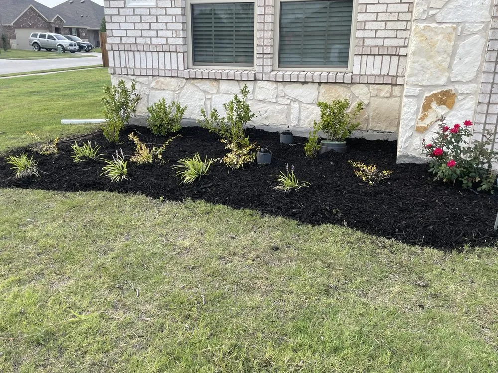 Custom outdoor landscaping for homes in Princeton, TX by Jperaza All House Service