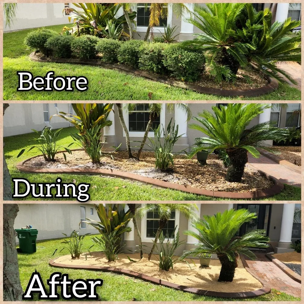 Custom landscape installation for residential properties in Melbourne, FL by JPF Property Renewal