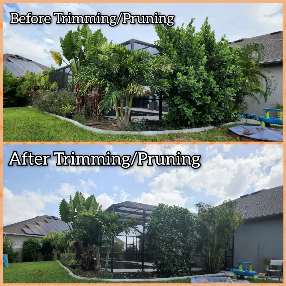 Trusted landscape installation experts serving Melbourne, FL - JPF Property Renewal