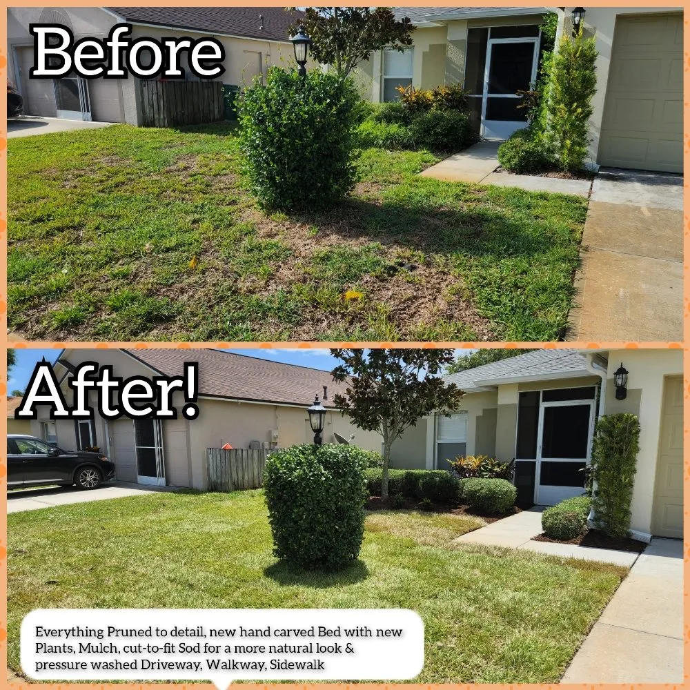 Affordable yard cleanup service in Melbourne, FL - JPF Property Renewal