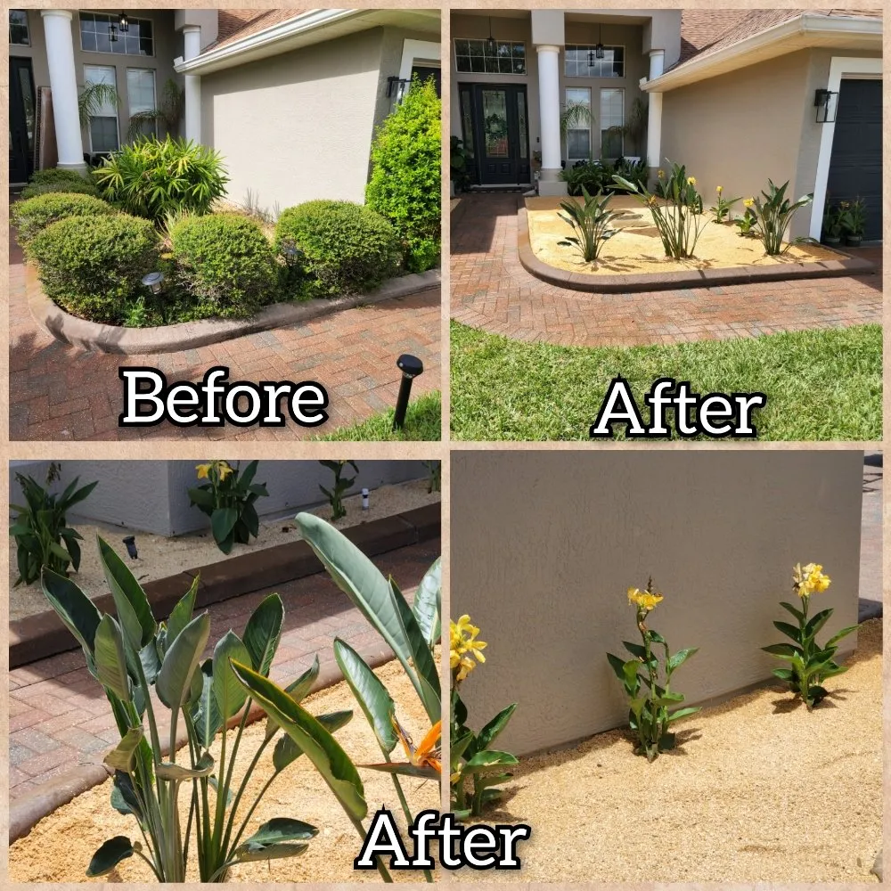 Custom yard cleanup service in Melbourne, FL by JPF Property Renewal