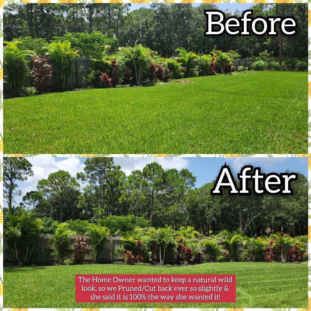Reliable landscape design in Melbourne, FL - JPF Property Renewal