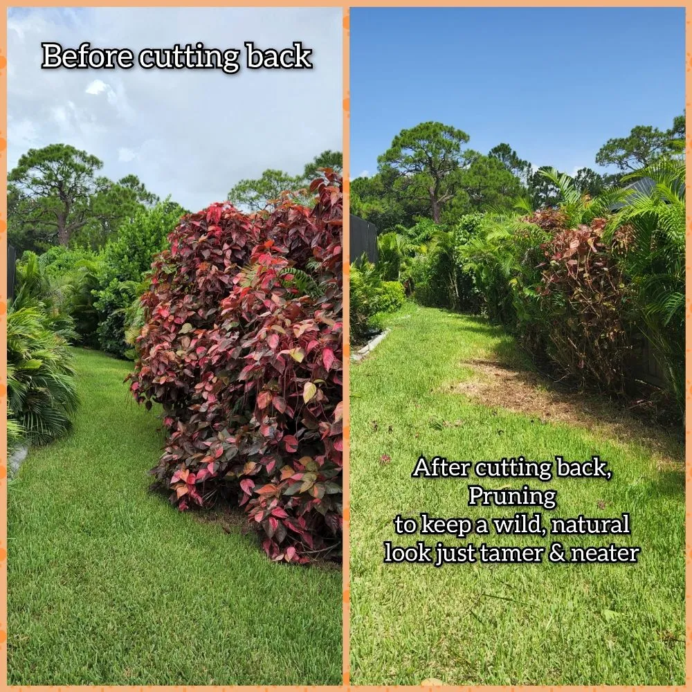 Affordable garden landscaping experts serving Melbourne, FL - JPF Property Renewal