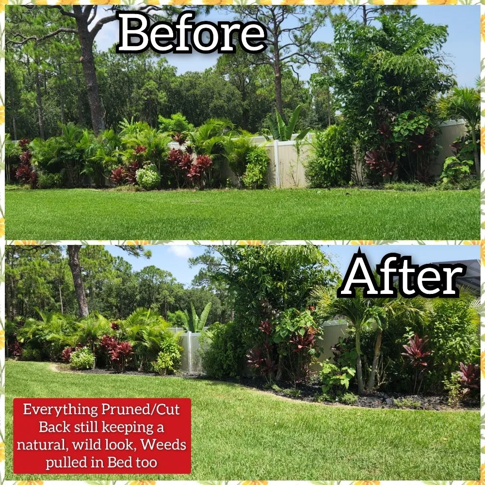 Expert residential landscaping in Melbourne, FL - JPF Property Renewal