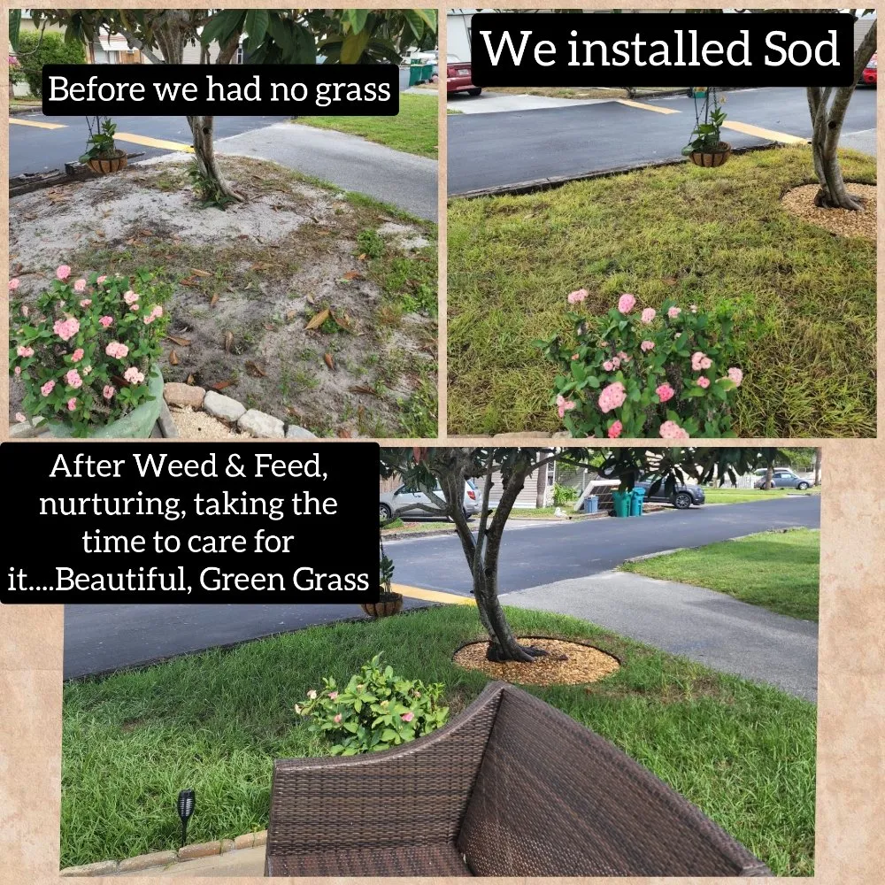 Affordable lawn mowing service for residential properties in Melbourne, FL by JPF Property Renewal