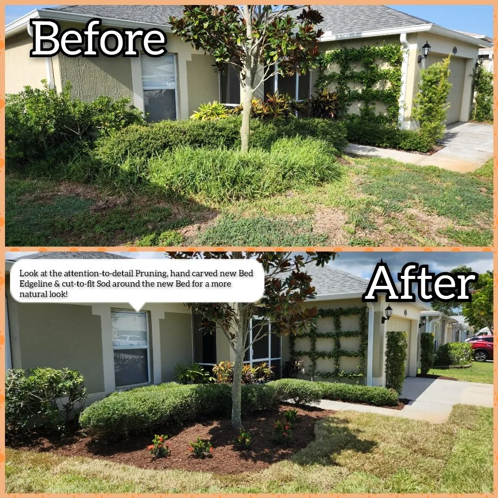 Local yard cleanup service in Melbourne, FL - JPF Property Renewal