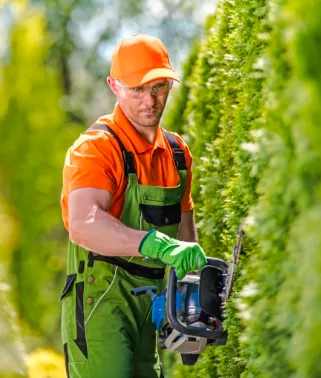 Trusted landscaping services for homes in Clarksville, TN by JPG Landscaping