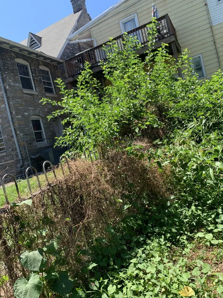 Custom landscape design in Harrisburg, PA - JPG Landscaping Services