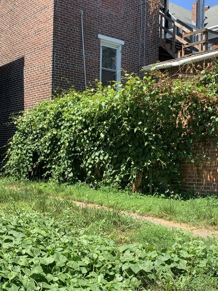 Custom outdoor landscaping in Harrisburg, PA by JPG Landscaping Services