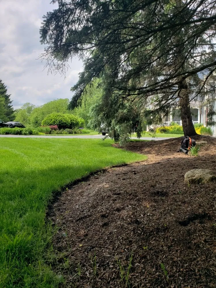 Expert yard cleanup service for outdoor upgrades across Lake Zurich, IL - JPH Landscaping