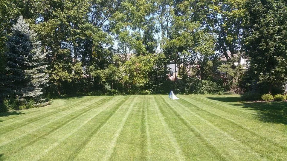 Affordable landscape installation for homes in Carmel, IN by JPJ Landscaping