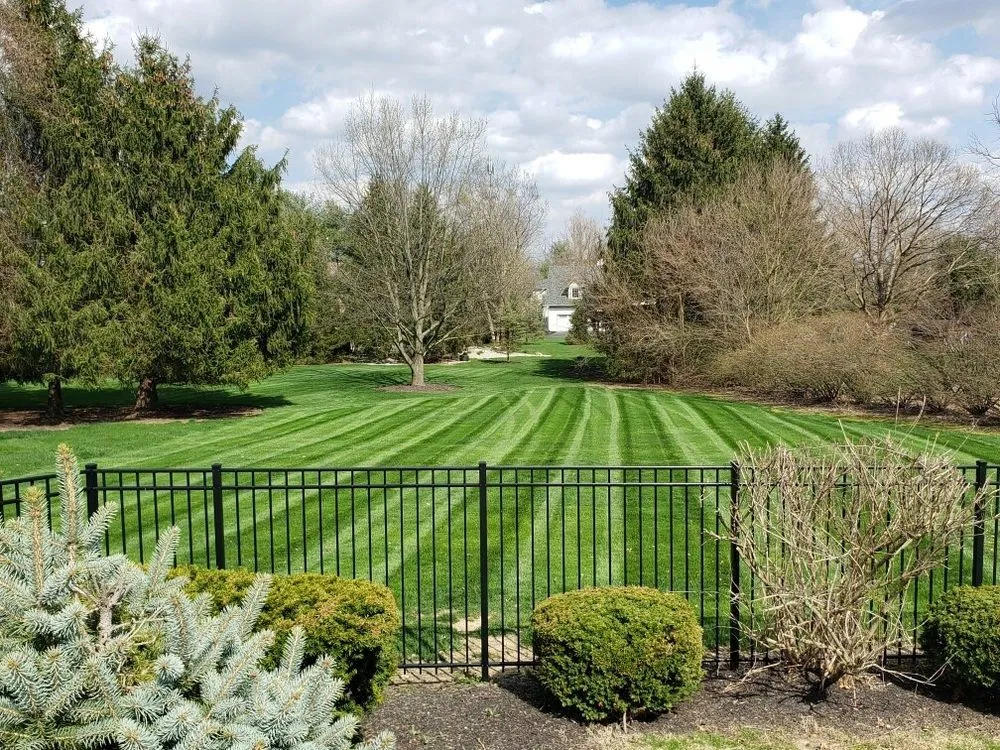 Reliable yard cleanup service in Carmel, IN - JPJ Landscaping