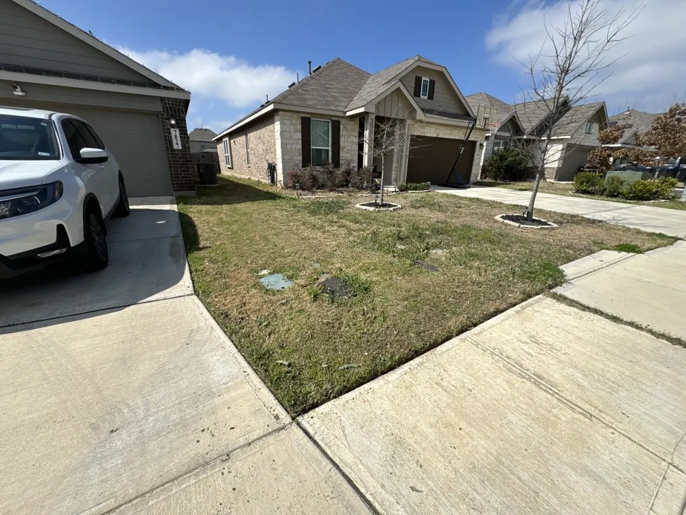 Reliable yard cleanup service in San Antonio, TX - JPL Lawn