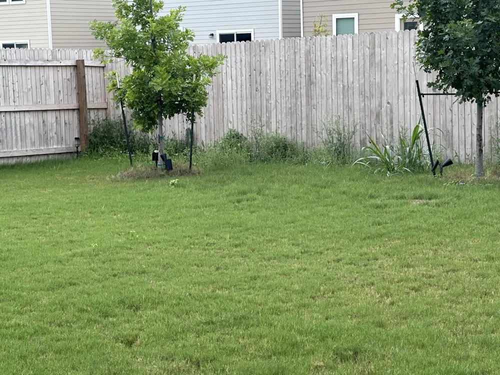 Expert residential landscaping in San Antonio, TX - JPL Lawn