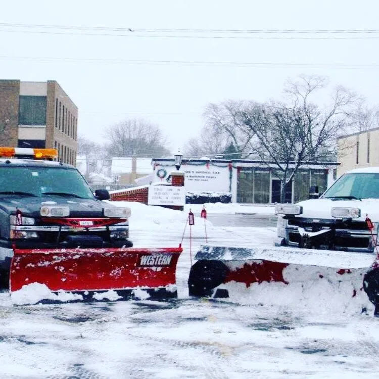 Reliable lawn care service with custom design in Elmhurst, IL by JPL Property Services