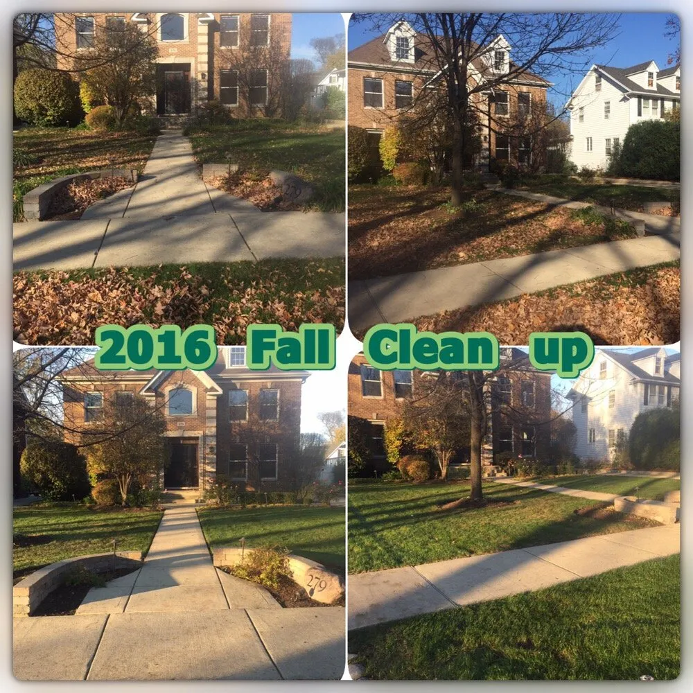 Trusted lawn care service for beautiful yards in Elmhurst, IL by JPL Property Services