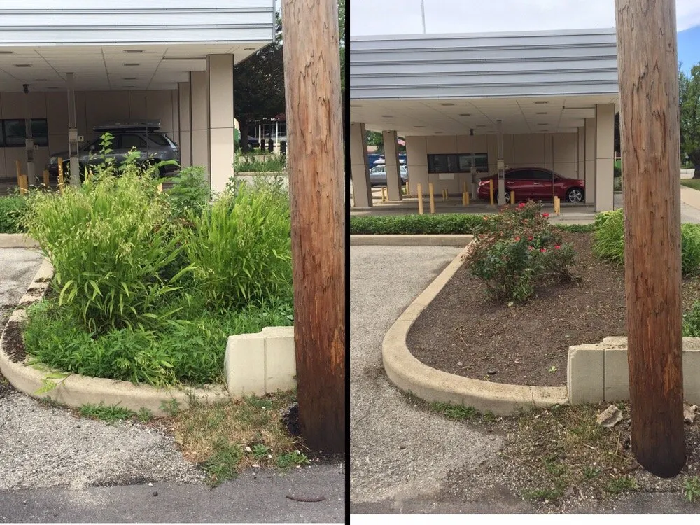 Expert lawn care service in Elmhurst, IL - JPL Property Services