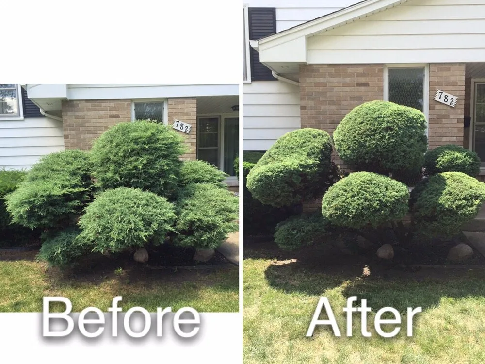 Local residential landscaping with custom design in Elmhurst, IL by JPL Property Services