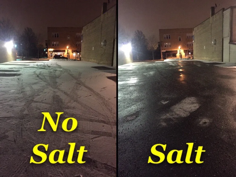 Top-rated garden landscaping experts serving Elmhurst, IL - JPL Property Services