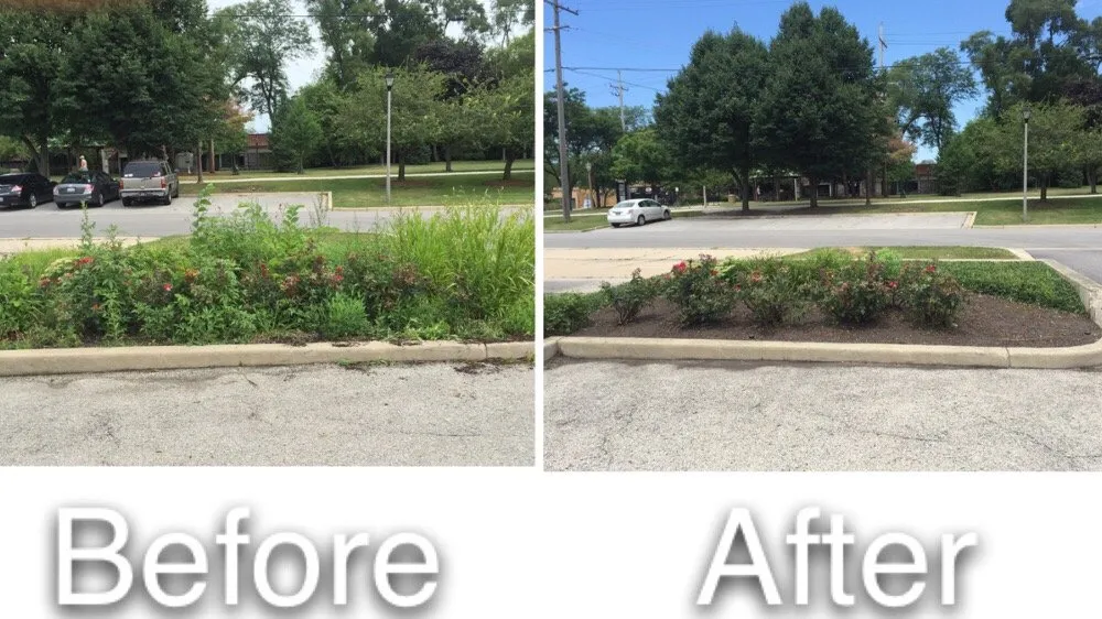 Trusted garden landscaping for year-round maintenance in Elmhurst, IL by JPL Property Services
