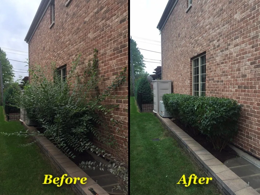 Trusted yard cleanup service experts serving Elmhurst, IL - JPL Property Services