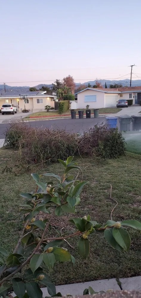 Expert lawn mowing service in Phillips Ranch, CA - JPM Landscape And Concrete