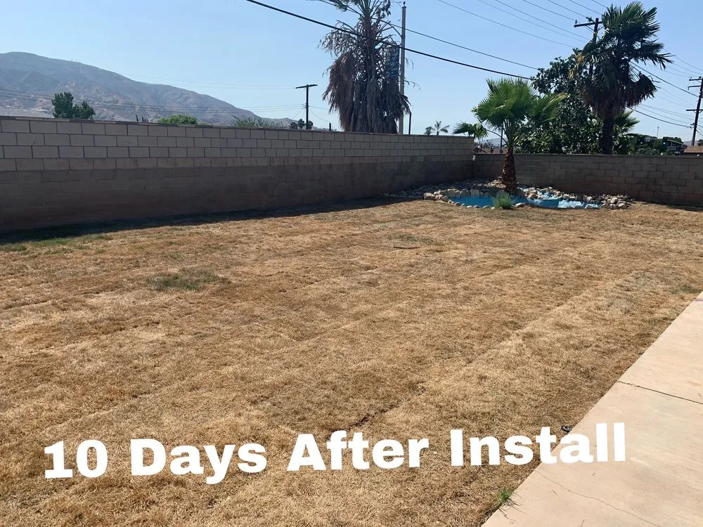 Professional outdoor landscaping for outdoor upgrades across Phillips Ranch, CA - JPM Landscape And Concrete