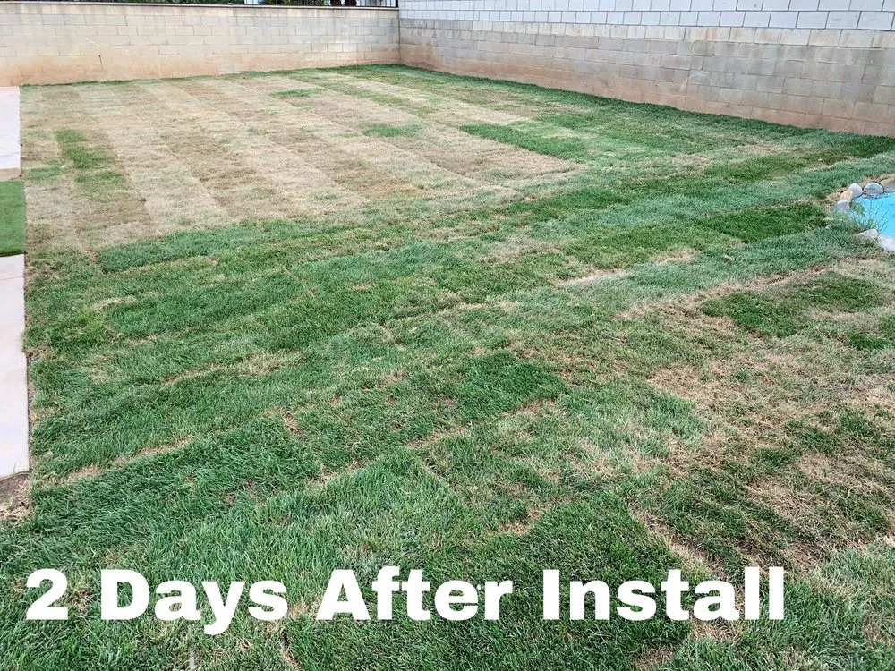 Expert outdoor landscaping in Phillips Ranch, CA by JPM Landscape And Concrete