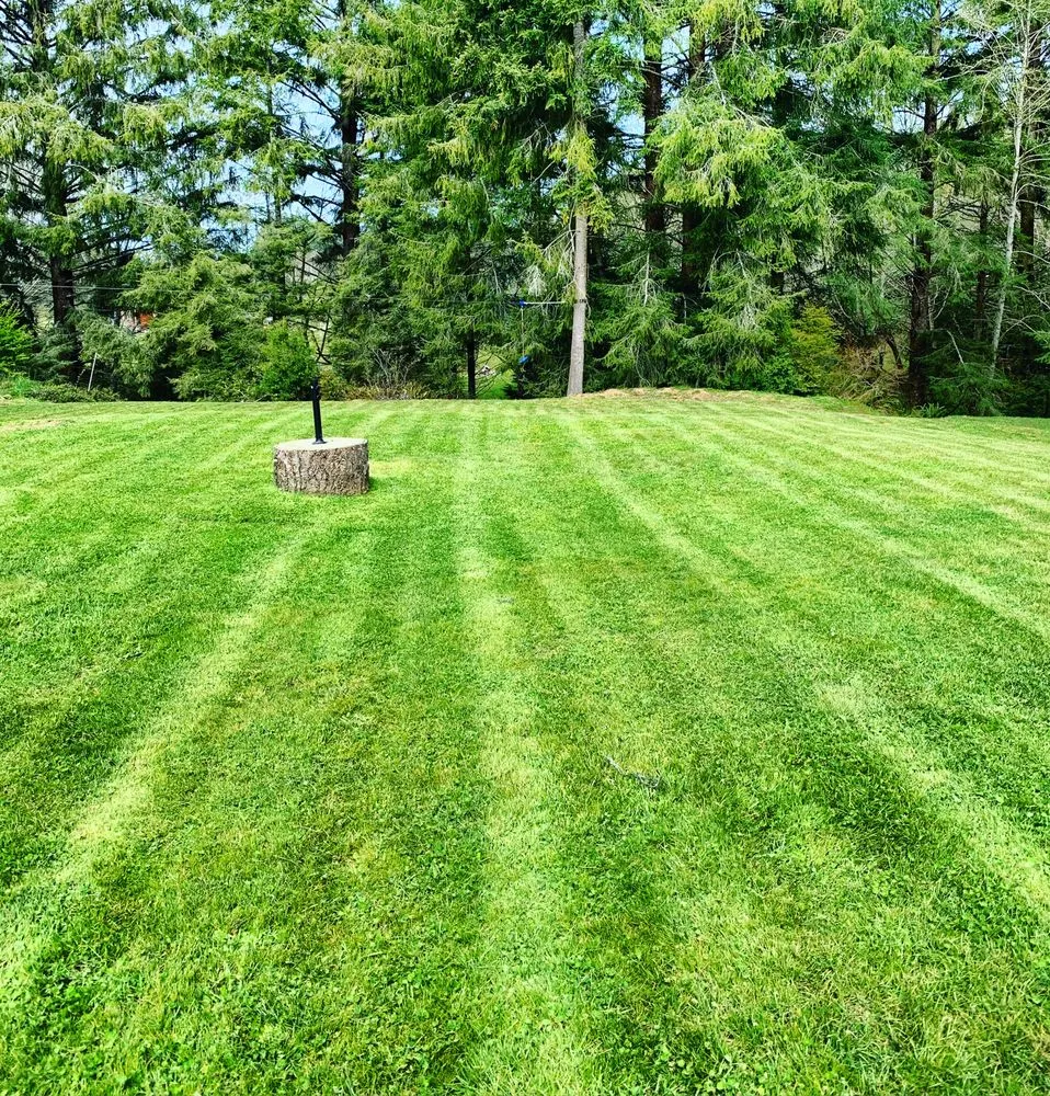 Top-rated lawn mowing service for outdoor upgrades in Eureka, CA by JPM Landscape