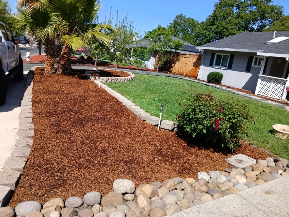 Expert outdoor landscaping for year-round maintenance in Pittsburg, CA by Jpm Landscaping