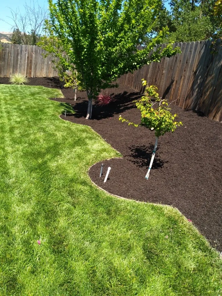 Affordable outdoor landscaping in Pittsburg, CA - Jpm Landscaping