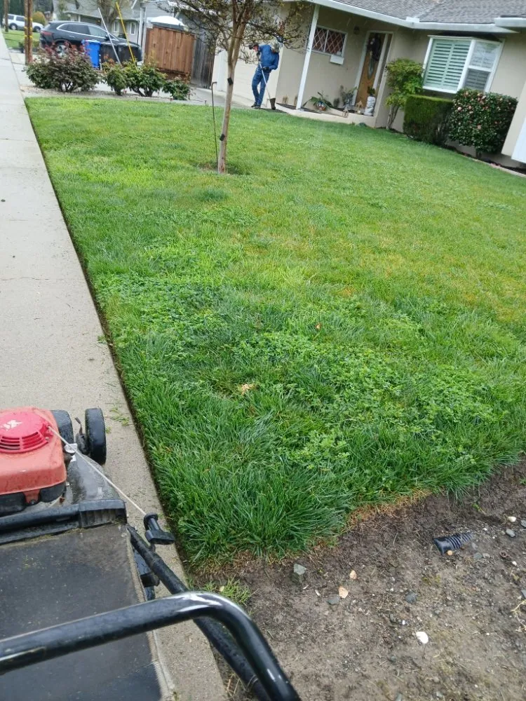 Expert outdoor landscaping in Pittsburg, CA by Jpm Landscaping