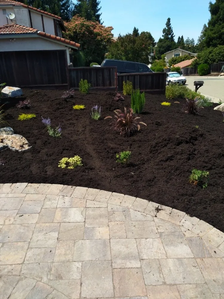 Custom lawn care service for beautiful yards in Pittsburg, CA by Jpm Landscaping