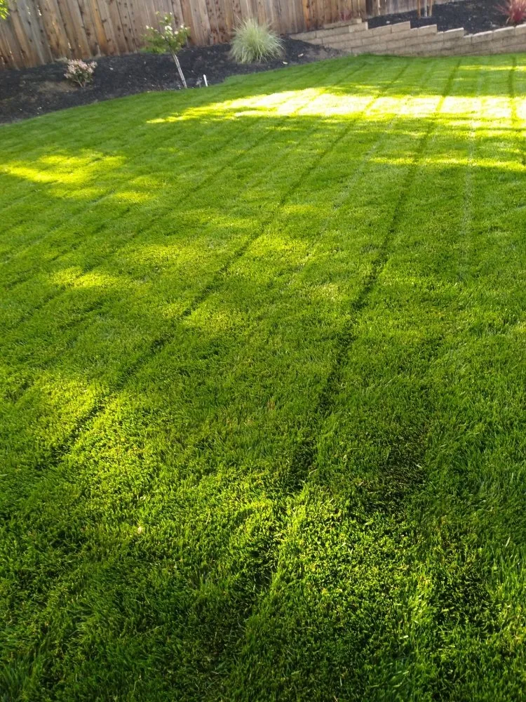 Custom residential landscaping experts serving Pittsburg, CA - Jpm Landscaping