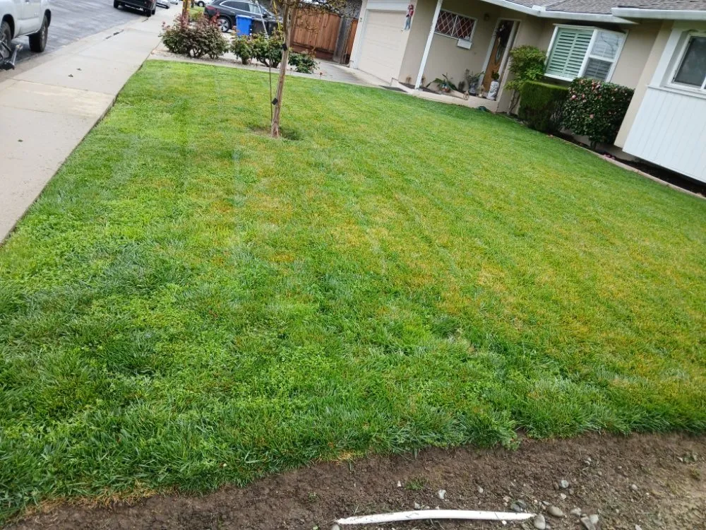 Affordable outdoor landscaping with custom design across Pittsburg, CA - Jpm Landscaping