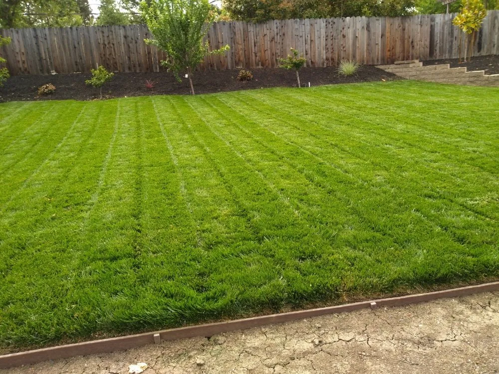 Expert yard cleanup service with custom design across Pittsburg, CA - Jpm Landscaping