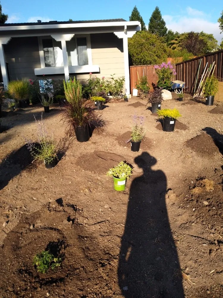 Reliable yard maintenance experts serving Pittsburg, CA - Jpm Landscaping