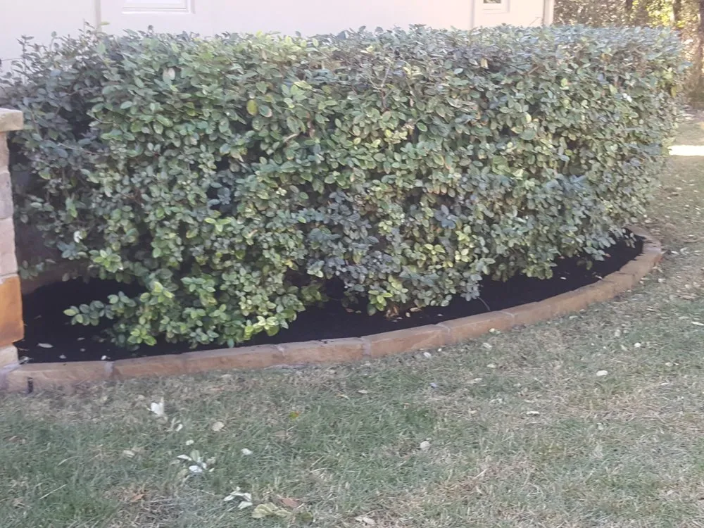 Custom residential landscaping experts serving Round Rock, TX - JPM Services