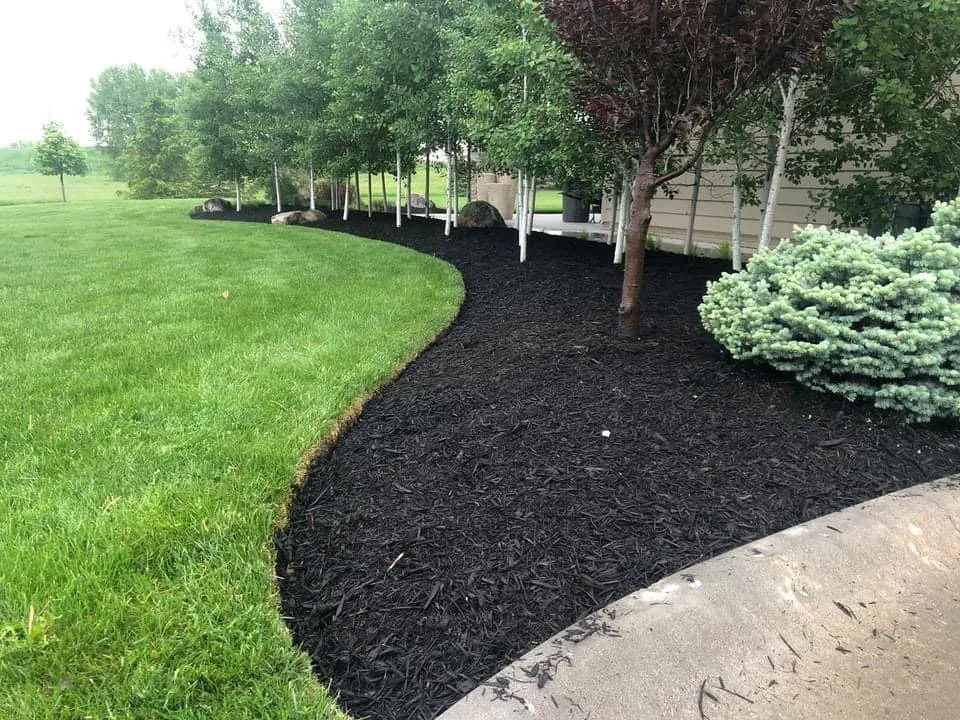 Expert landscape installation for year-round maintenance in Waterloo, NE by JPO Lawn & Snow