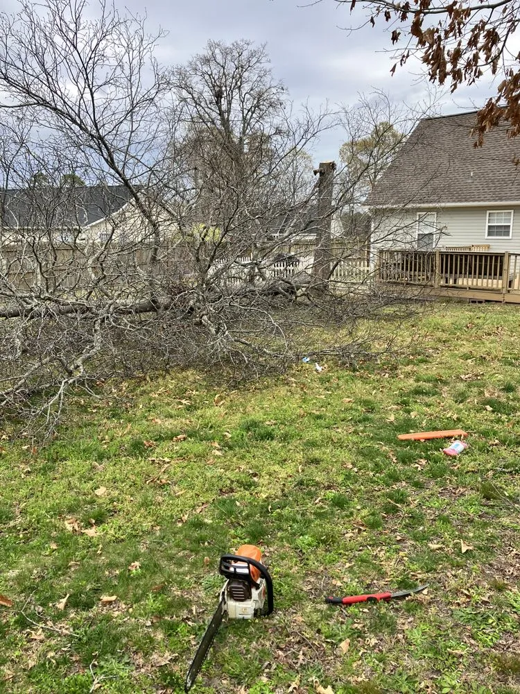 Expert landscape design experts serving Fayetteville, NC - JPro Landscaping