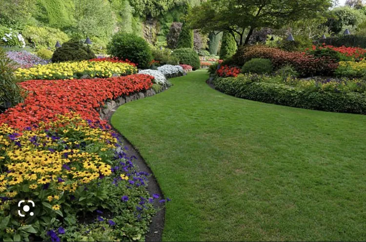 Top-rated yard cleanup service with custom design across Fayetteville, NC - JPro Landscaping