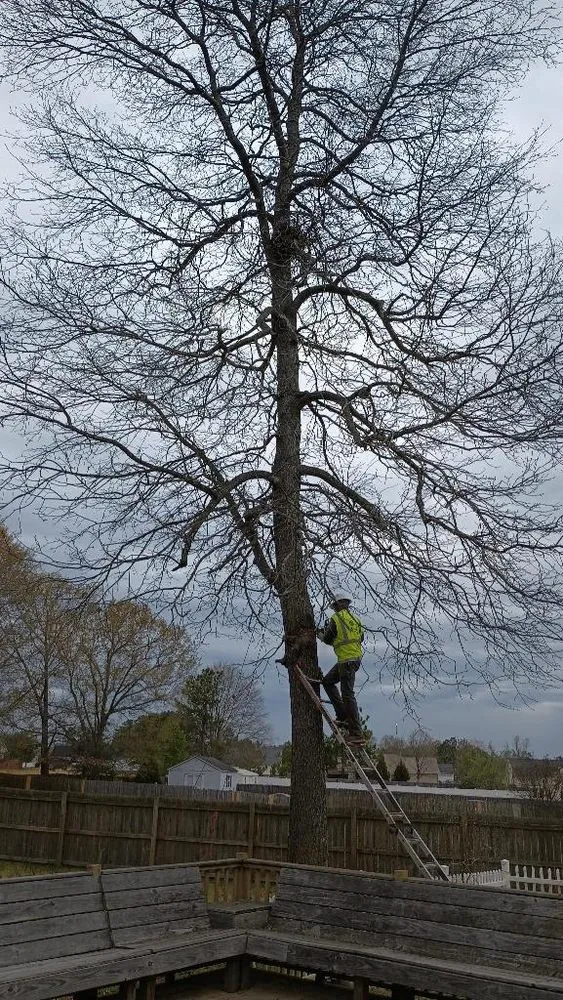 Top-rated garden landscaping for beautiful yards in Fayetteville, NC by JPro Landscaping