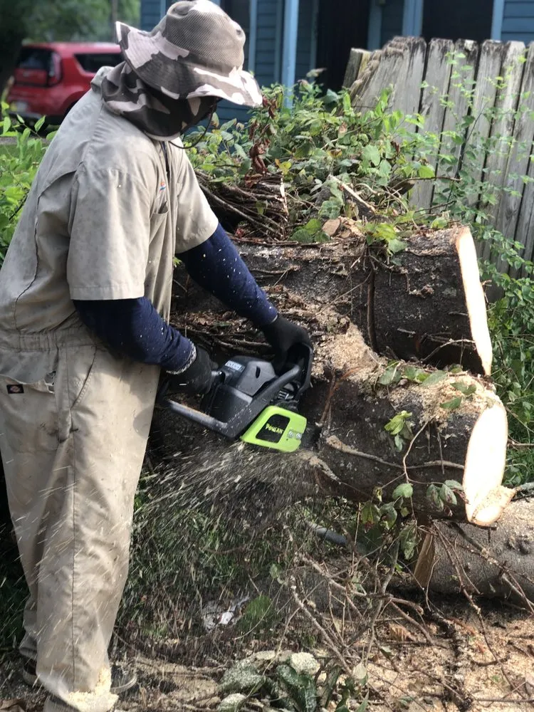 Top-rated residential landscaping experts serving Lafayette, LA - JP's Concrete & Lawn Service